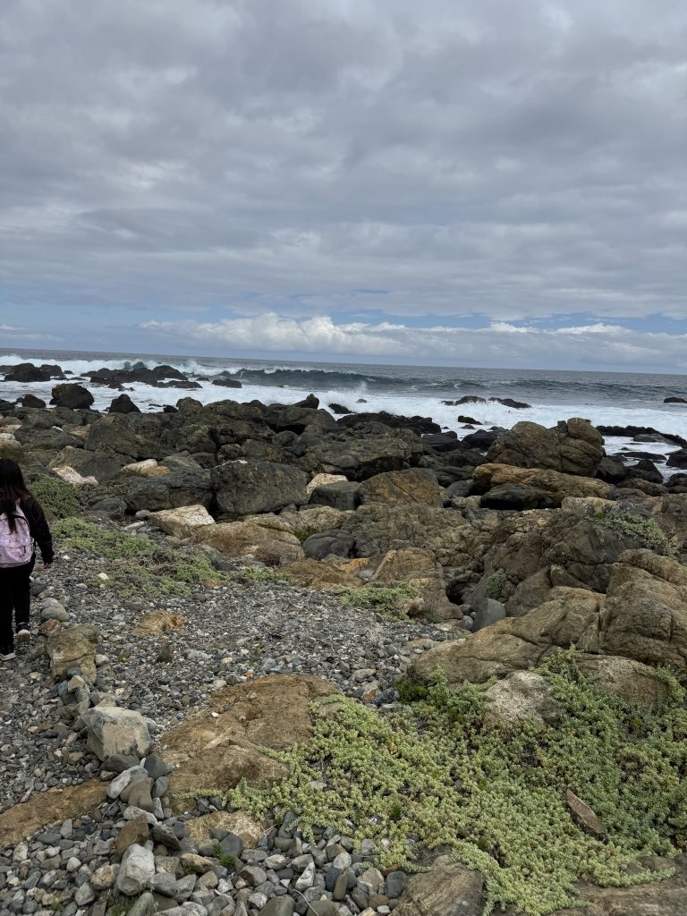 MEDIO AMBIENTE Y TURISMO SUSTENTABLE